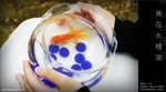 060416_kiu_004