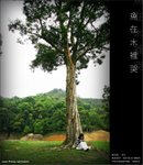 060416_kiu_018