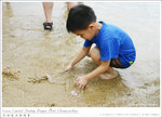 060531_dragon_018