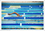 061015_swim_021