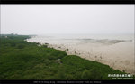070415_western_007