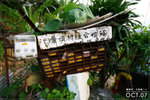071020_SamKaTsuen_002
