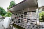 071020_SamKaTsuen_013