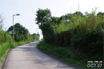 071020_wilson3_l002