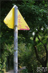 071020_wilson3_l007