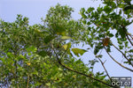 071020_wilson3_l012