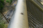 071020_wilson3_l019