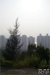 071020_wilson3_l020