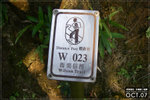 071020_wilson3_l024