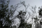 071020_wilson3_l027