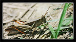 060422_002