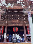 IMG_0465 - Version 2 (1)