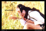 IMG038c