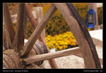 IMG034a