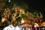 central - Christmas