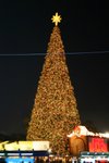 central - Christmas