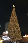central - Christmas