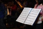 IMG_7085
