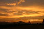 IMG_0179
