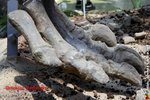IMG_8020
