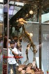 IMG_8028
