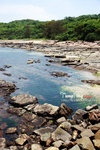 DSC00341