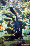 DSC00422