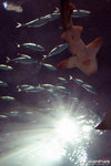 DSC00435
