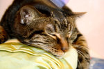IMG_0676 copy
