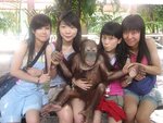 MONKEY,,