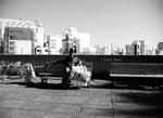 IMG_2626BW