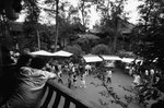 10230022BW