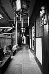 10240033BW