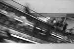 DPP_0001_800