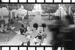 DPP_0002_800