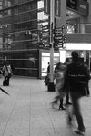 DPP_0003_800