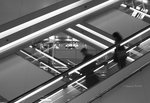 DPP_0006_800
