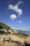 MAKO_LYM (11)