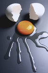 Egg4_800