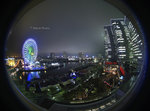 MAKO0928_800