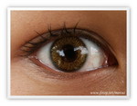 eye_rs