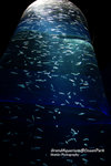 DSC03249