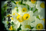 ���P��