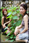 20070326-02