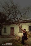 20060205-05