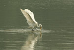 lk-011