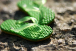 IMG_4034 copy