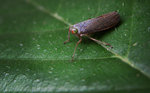 IMG_4474 copy