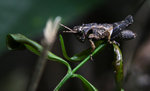 IMG_4488 copy