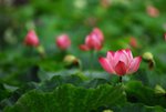 09�L������